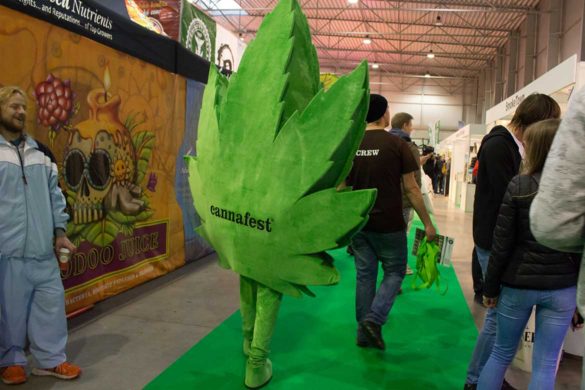 Cannafest