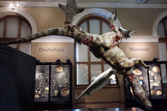 Национальный музей Národní muzeum
