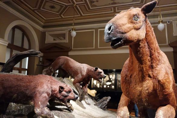 Национальный музей Národní muzeum