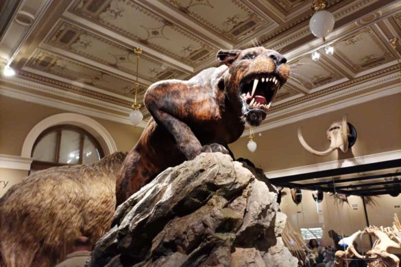 Национальный музей Národní muzeum