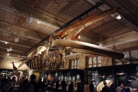 Национальный музей Národní muzeum